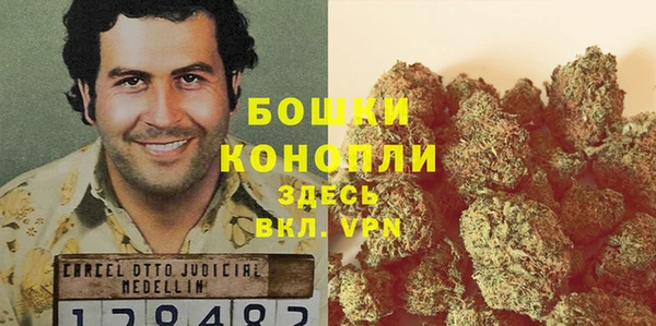 ешки Арсеньев