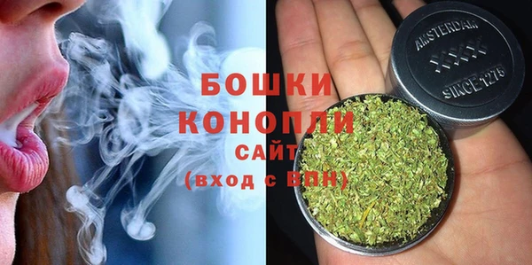 ешки Арсеньев
