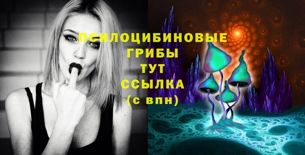 ешки Арсеньев