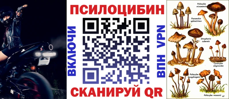 Галлюциногенные грибы MAGIC MUSHROOMS Артёмовский