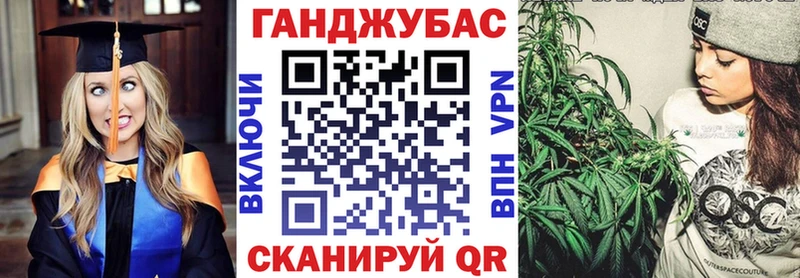 omg   Артёмовский  Каннабис Amnesia 